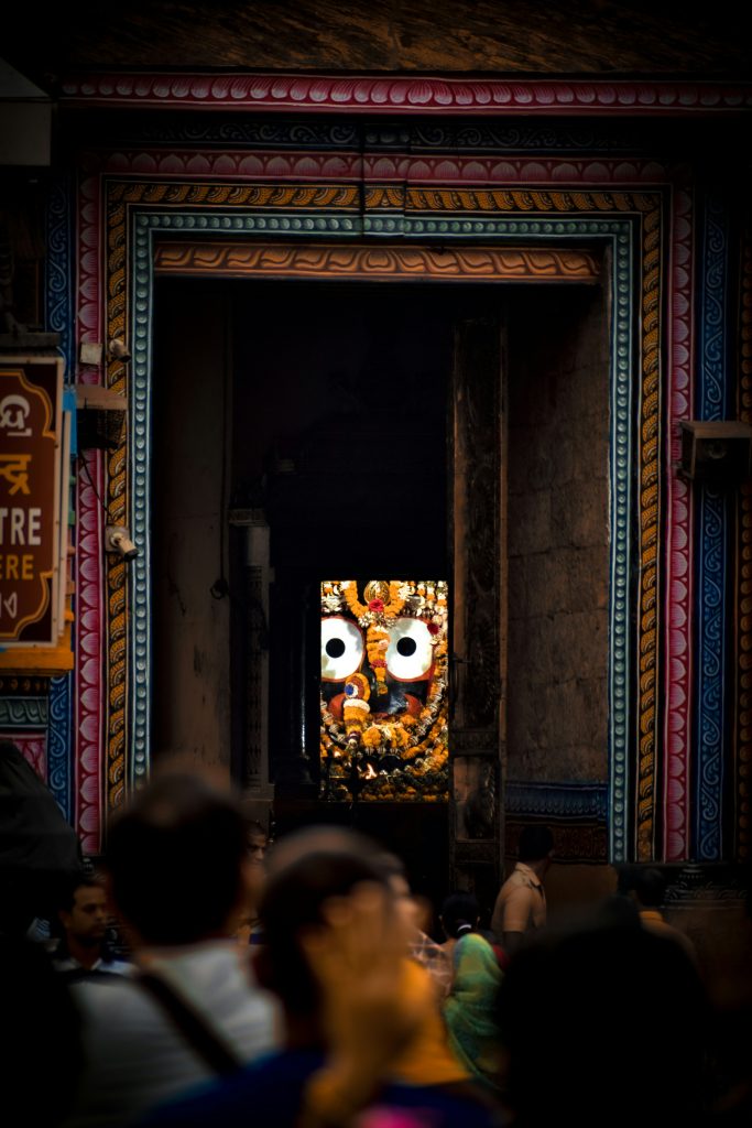 vinit-patel-csFw-nHgGLo-unsplash